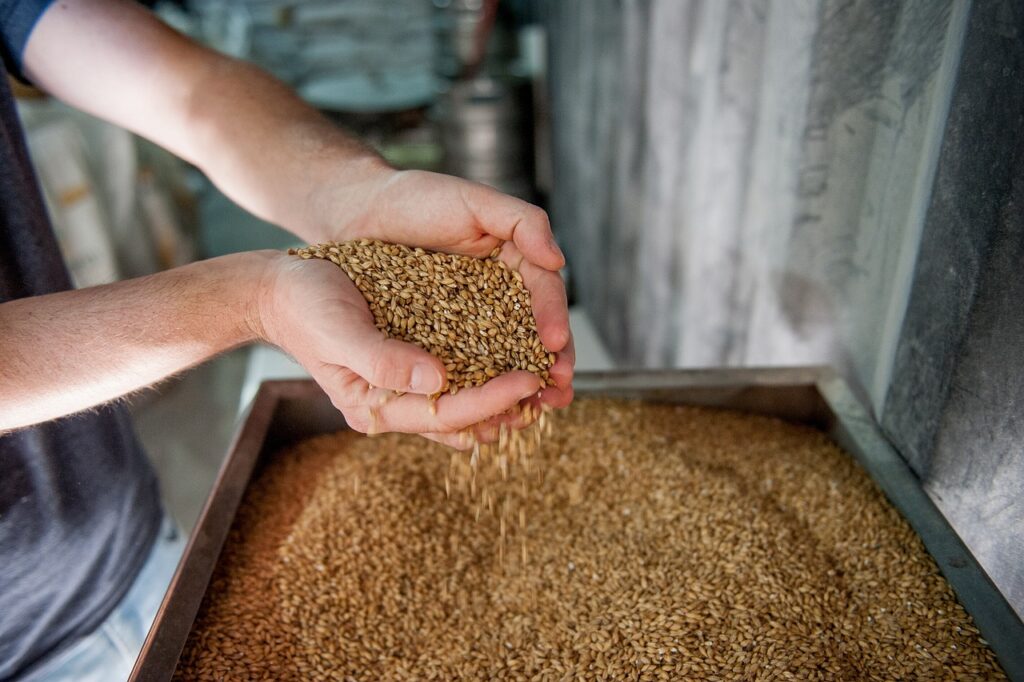 How Much Gluten is in Barley Malt Extract?