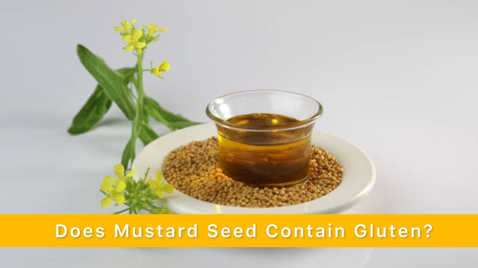 Does Mustard Seed Contain Gluten?- Benefits and Popular Brands of Gluten-free Mustard